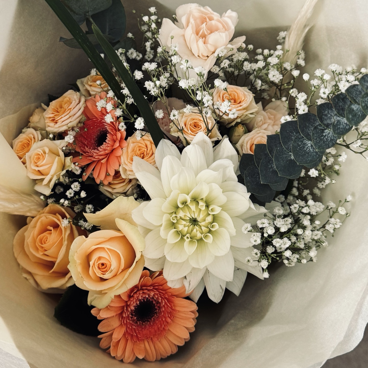 snowdropsandviolets23